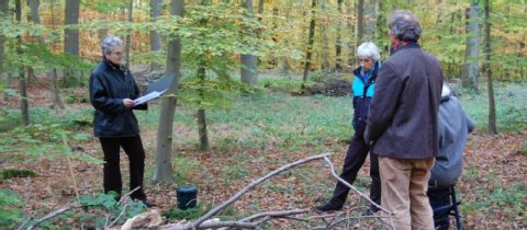 24833296,22641085,dmFlashTeaserRes,71-61139700%3A+Mechtild+Nolt